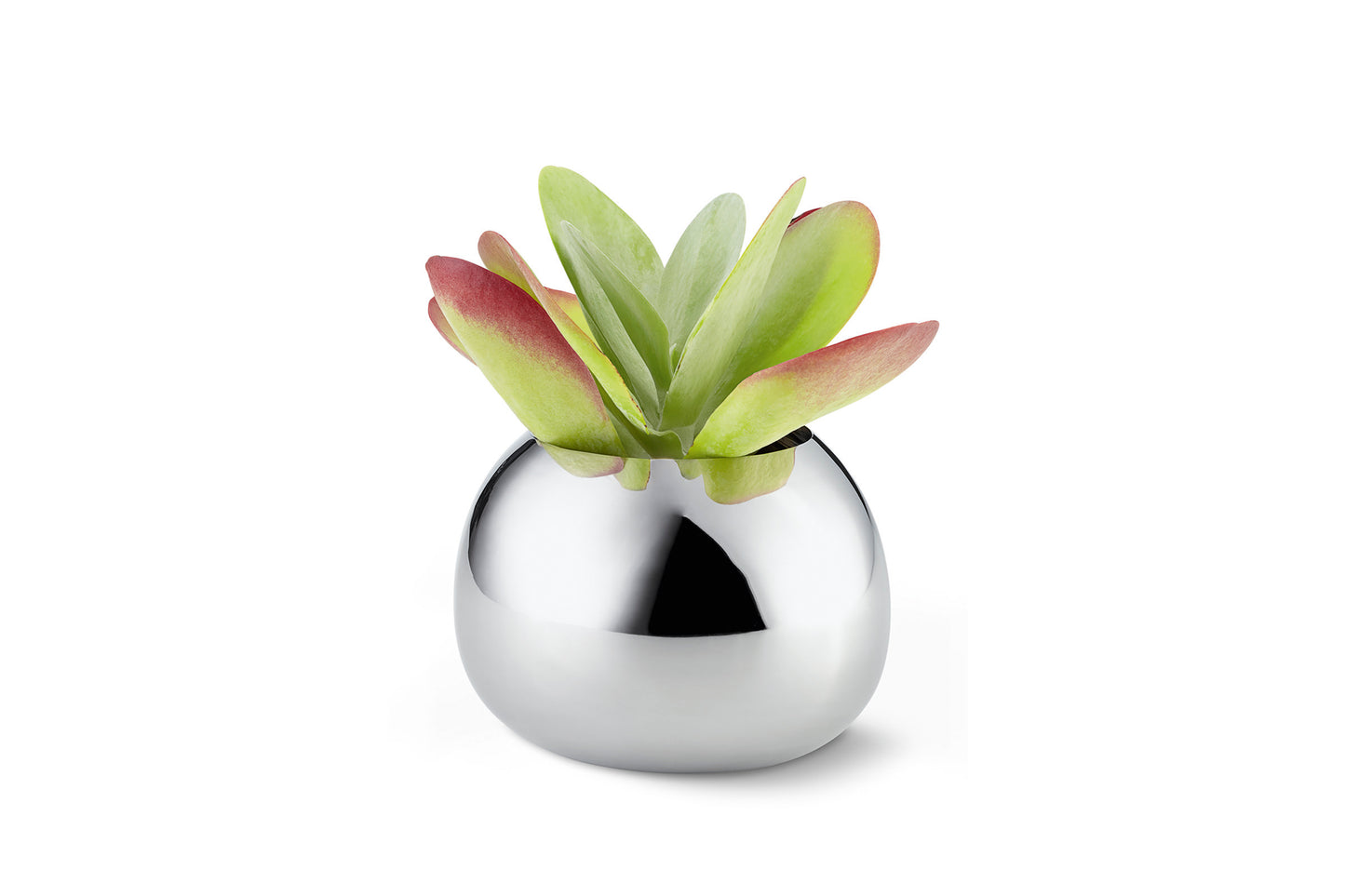 Vase BELLA